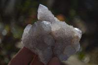Natural Limonite Spirit Quartz Clusters x 12 From Boekenhouthoek, South Africa - Toprock Gemstones and Minerals