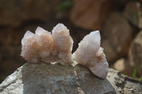Natural Limonite Spirit Quartz Clusters x 12 From Boekenhouthoek, South Africa - Toprock Gemstones and Minerals