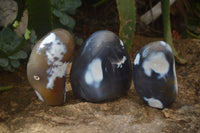 Polished Orca Agate Standing Free Forms x 3 From Madagascar - Toprock Gemstones and Minerals