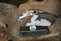 Polished Orca Agate Standing Free Forms x 3 From Madagascar - Toprock Gemstones and Minerals