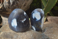 Polished Orca Agate Standing Free Forms x 3 From Madagascar - Toprock Gemstones and Minerals