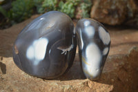 Polished Orca Agate Standing Free Forms x 3 From Madagascar - Toprock Gemstones and Minerals