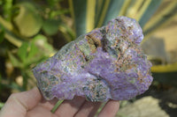 Natural Stichtite & Serpentine Specimens x 6 From Barberton, South Africa - Toprock Gemstones and Minerals
