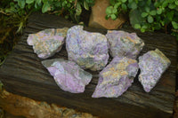Natural Stichtite & Serpentine Specimens x 6 From Barberton, South Africa - Toprock Gemstones and Minerals