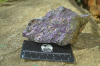 Natural Stichtite & Serpentine Specimens x 6 From Barberton, South Africa - Toprock Gemstones and Minerals