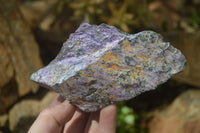 Natural Stichtite & Serpentine Specimens x 6 From Barberton, South Africa - Toprock Gemstones and Minerals