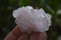 Natural Amethyst / Ametrine Spirit Quartz Clusters x 12 From South Africa - Toprock Gemstones and Minerals