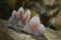 Natural Amethyst / Ametrine Spirit Quartz Clusters x 12 From South Africa - Toprock Gemstones and Minerals