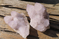 Natural Cactus Flower Spirit Quartz Clusters x 6 From Boekenhouthoek, South Africa - Toprock Gemstones and Minerals