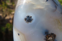 Polished Dendritic Agate Standing Free Forms x 2 From Madagascar - Toprock Gemstones and Minerals