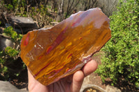 Polished On One Side Nguni Jasper Specimens x 2 From Prieska, South Africa - Toprock Gemstones and Minerals
