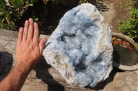 Natural Celestite Geode Specimen x 1 From Sakoany, Madagascar - Toprock Gemstones and Minerals