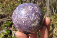 Polished Purple Lepidolite Spheres x 4 From Madagascar - Toprock Gemstones and Minerals