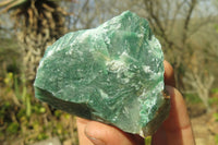 Natural Jade Cobbed Specimens x 24 From Swaziland - Toprock Gemstones and Minerals