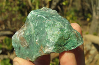 Natural Jade Cobbed Specimens x 24 From Swaziland - Toprock Gemstones and Minerals