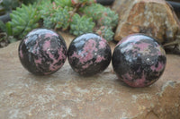 Polished Rhodonite Sphere-Balls x 3 From Ambindavato, Madagascar - Toprock Gemstones and Minerals
