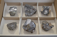 Natural Silver Lead Galena Specimens x 6 From Ais-Ais, Namibia - Toprock Gemstones and Minerals