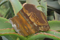 Polished On One Side Nguni Jasper Specimens x 3 From Prieska, South Africa - Toprock Gemstones and Minerals