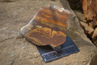 Polished On One Side Nguni Jasper Specimens x 3 From Prieska, South Africa - Toprock Gemstones and Minerals