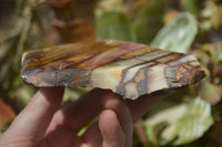 Polished On One Side Nguni Jasper Specimens x 2 From Prieska, South Africa - Toprock Gemstones and Minerals