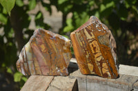 Polished On One Side Nguni Jasper Specimens x 2 From Prieska, South Africa - Toprock Gemstones and Minerals