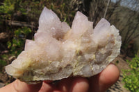 Natural Spirit Quartz Clusters x 12 From Boekenhouthoek, South Africa - Toprock Gemstones and Minerals