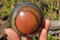 Polished Polychrome Jasper Spheres x 3 From Madagascar - Toprock Gemstones and Minerals