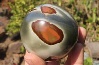 Polished Polychrome Jasper Spheres x 3 From Madagascar - Toprock Gemstones and Minerals