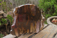 Polished On One Side Nguni Jasper Specimens x 2 From Prieska, South Africa - Toprock Gemstones and Minerals