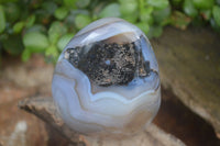 Polished Dendritic Agate Standing Free Forms x 6 From Madagascar - Toprock Gemstones and Minerals