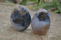 Polished Dendritic Agate Standing Free Forms x 6 From Madagascar - Toprock Gemstones and Minerals