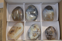 Polished Dendritic Agate Standing Free Forms x 6 From Madagascar - Toprock Gemstones and Minerals