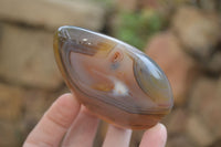 Polished Dendritic Agate Standing Free Forms x 6 From Madagascar - Toprock Gemstones and Minerals