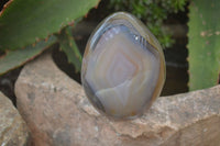 Polished Dendritic Agate Standing Free Forms x 6 From Madagascar - Toprock Gemstones and Minerals