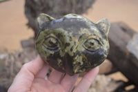 Polished Leopard Stone Cat Faces x 3 From Zimbabwe - Toprock Gemstones and Minerals