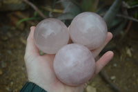 Polished Star Rose Quartz Sphere-Balls x 4 From Madagascar - Toprock Gemstones and Minerals