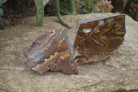 Polished On One Side Nguni Jasper Specimens x 2 From Prieska, South Africa - Toprock Gemstones and Minerals