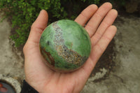 Polished Green Chrysoprase Sphere-Balls x 4 From Madagascar - Toprock Gemstones and Minerals