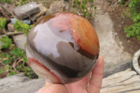 Polished Polychrome Jasper Sphere-Balls x 2 From Madagascar - Toprock Gemstones and Minerals