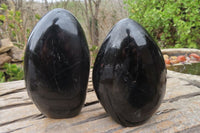 Polished Black Tourmaline Standing Free Form x 2 From Madagascar - Toprock Gemstones and Minerals