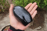 Polished Black Tourmaline Standing Free Form x 2 From Madagascar - Toprock Gemstones and Minerals
