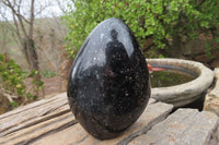 Polished Black Tourmaline Standing Free Form x 2 From Madagascar - Toprock Gemstones and Minerals