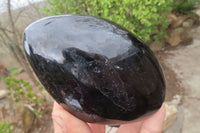 Polished Black Tourmaline Standing Free Form x 2 From Madagascar - Toprock Gemstones and Minerals