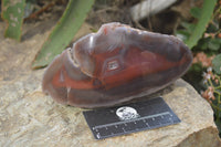 Polished Red Sashe River Agate Nodules x 2 From Sashe River, Zimbabwe - Toprock Gemstones and Minerals