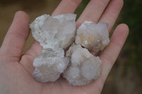 Natural Pale Ametrine Spirit Quartz Clusters x 20 From Boekenhouthoek, South Africa - Toprock Gemstones and Minerals