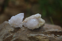 Natural Pale Ametrine Spirit Quartz Clusters x 20 From Boekenhouthoek, South Africa - Toprock Gemstones and Minerals