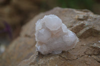 Natural Pale Ametrine Spirit Quartz Clusters x 20 From Boekenhouthoek, South Africa - Toprock Gemstones and Minerals