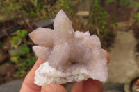 Natural Hematoid Ametrine Spirit Quartz Clusters x 12 From Boekenhouthoek, South Africa - Toprock Gemstones and Minerals