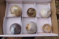 Polished Carnelian Agate Spheres x 6 From Madagascar - Toprock Gemstones and Minerals