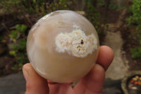 Polished Carnelian Agate Spheres x 6 From Madagascar - Toprock Gemstones and Minerals